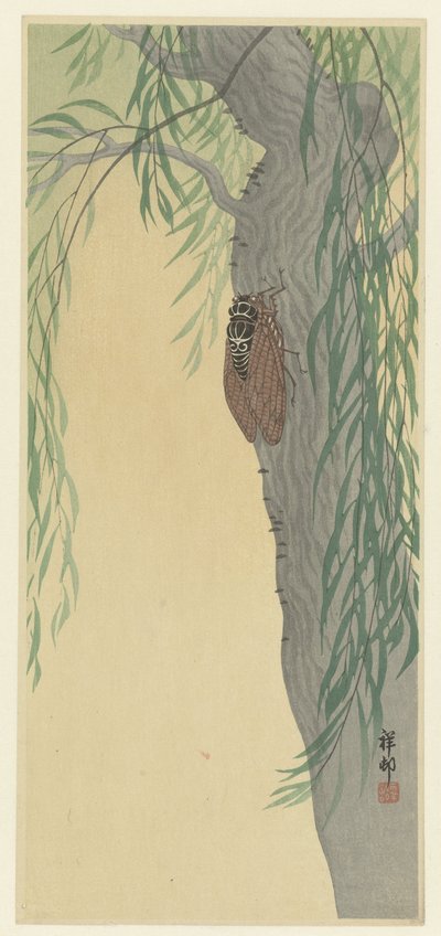 Zikade auf einem Baum von Ohara Koson