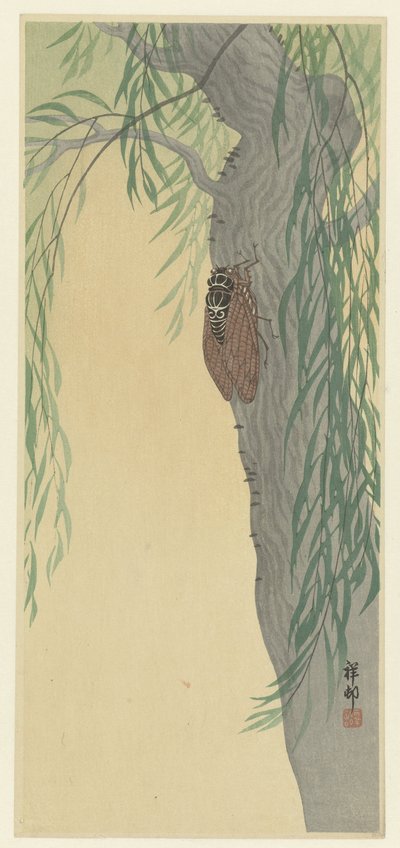 Zikade auf Baum von Ohara Koson