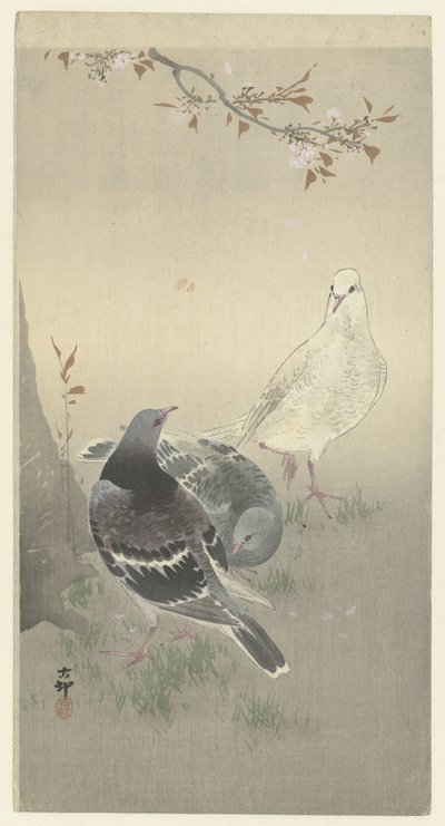 Drei zahme Tauben von Ohara Koson