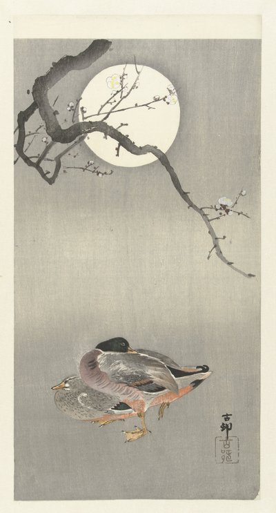 Enten bei Vollmond von Ohara Koson