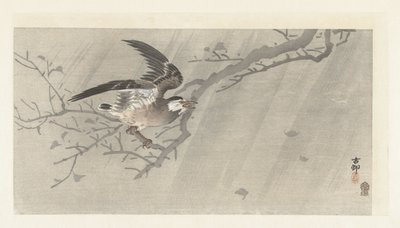 Grauer Star im Sturm von Ohara Koson