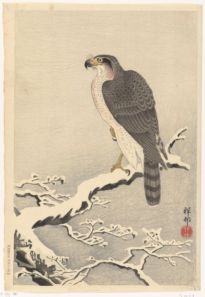 Habicht auf schneebedecktem Kiefernzweig von Ohara Koson