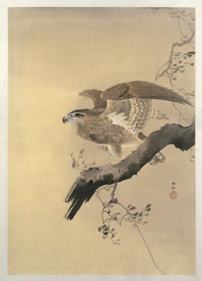 Falke von Ohara Koson