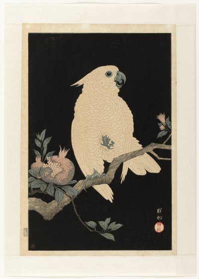 Kakadu mit Granatapfel von Ohara Koson