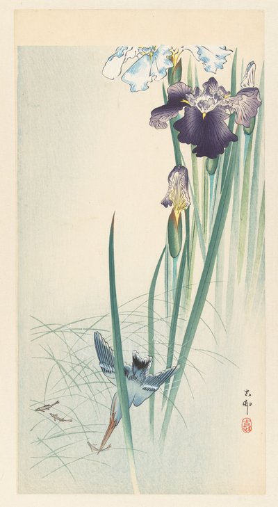 Eisvogel und Schwertlilien von Ohara Koson