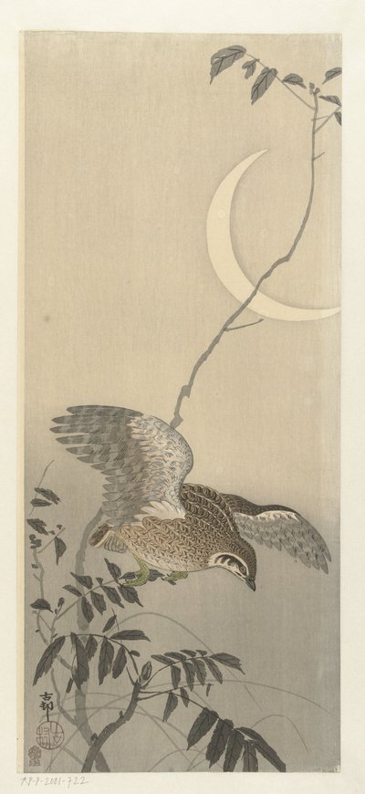 Wachtel bei Sichelmond von Ohara Koson