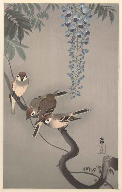 Spatzen bei Wisteria von Ohara Koson