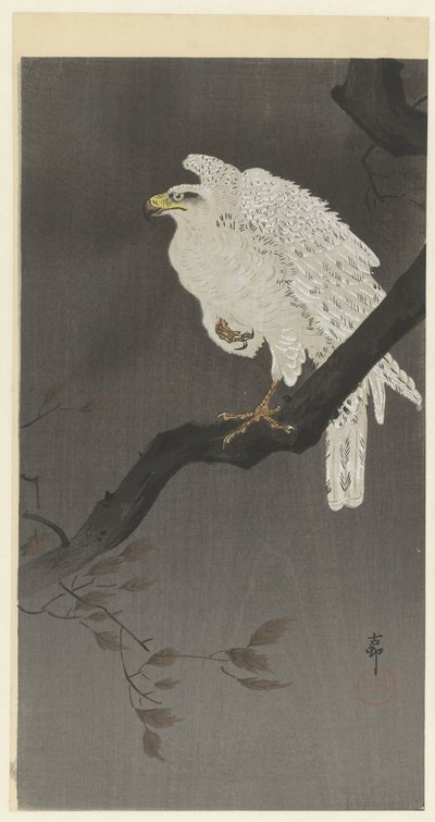 Schneeadler auf einem Baumzweig von Ohara Koson