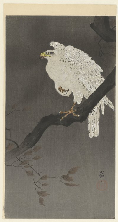 Schneeadler auf einem Ast von Ohara Koson