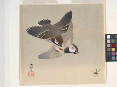 Spatzen jagen fliegendes Insekt von Ohara Koson