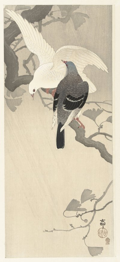 Zwei Tauben auf einem Ast von Ohara Koson