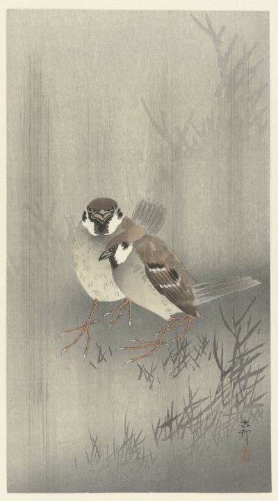 Zwei Haussperlinge im Regen von Ohara Koson