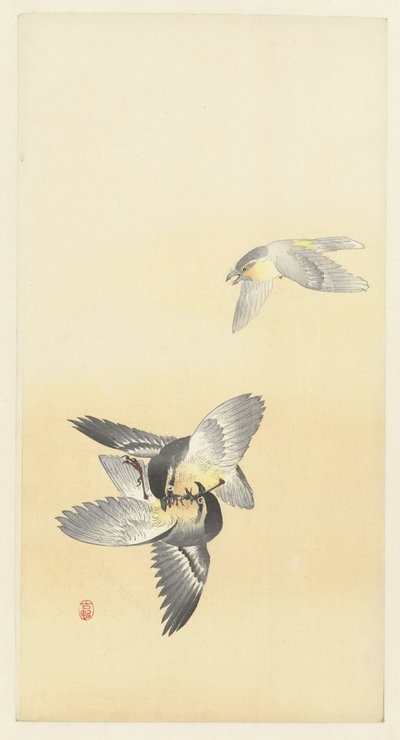 Zwei kämpfende Vögel von Ohara Koson