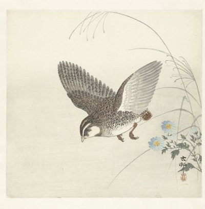 Fliegende Wachtel von Ohara Koson