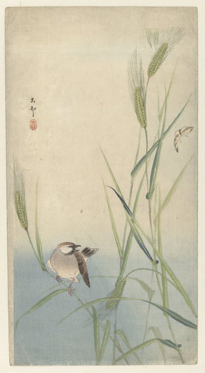 Vogel und Schmetterling von Ohara Koson