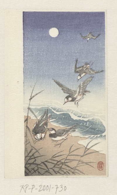 Vögel bei Vollmond von Ohara Koson