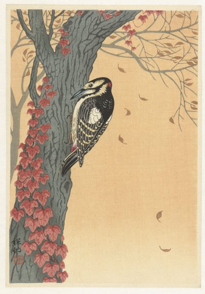 Specht in einem Baum mit rotem Efeu von Ohara Koson