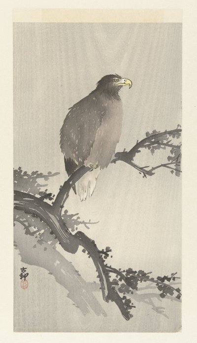 Seeadler auf einem Ast von Ohara Koson