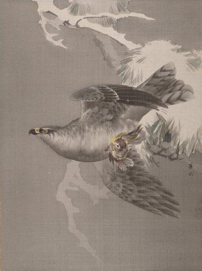 Falke hält einen kleinen Vogel, ca. 1891-92 von Okada Baison