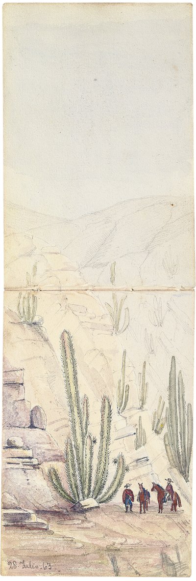 Kakteen in tiefer "Quebrada", 1863 von Oswald Younghusband