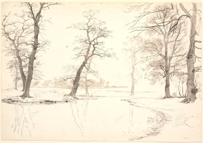 Der Fluss durch den Breelde-Wald bei Usserød von P.C. Skovgaard
