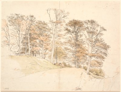 Hohe Bäume mit Herbstlaub auf hügeligem Grund von P.C. Skovgaard