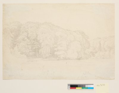 Waldsee mit großen Buchen im Hintergrund von P.C. Skovgaard