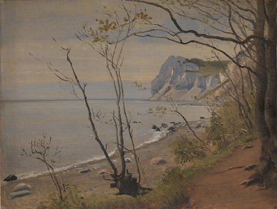 Die Klippen der Insel Møn von P.C. Skovgaard