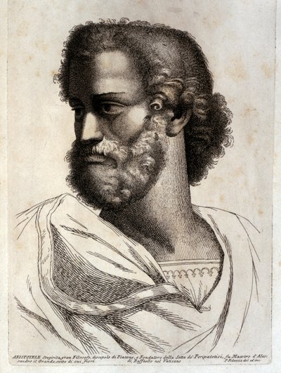 Aristoteles von Paolo Fidanza