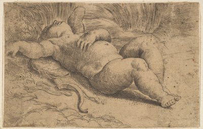Schlafender Amor, 16. Jahrhundert von Parmigianino