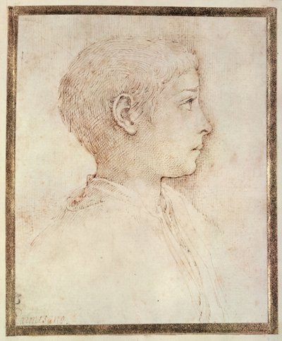 Kopf eines Jungen von Parmigianino