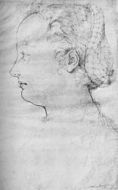Porträt einer Dame von Parmigianino