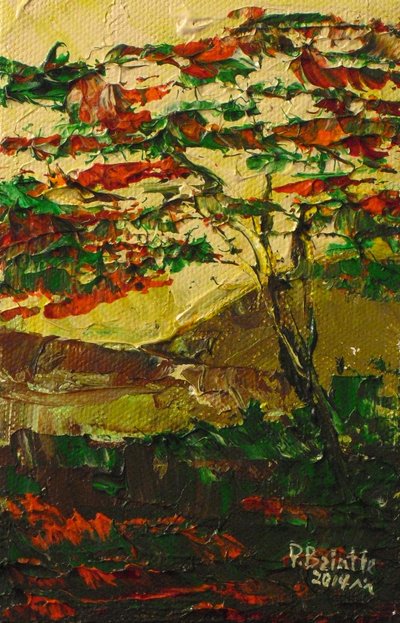 Flamboyant in Blüte, 2014 von Patricia Brintle