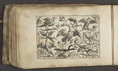 Kranich und zwölf andere Vögel von Paul Göttich