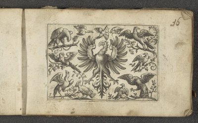 Raubvogel und elf andere Vögel von Paul Göttich