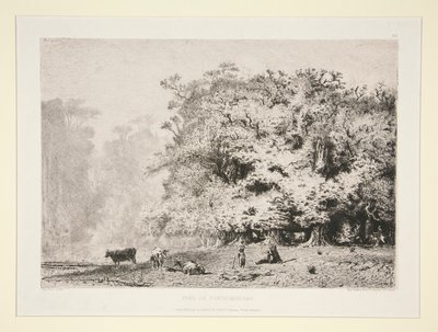 Wälder bei Fontainebleau von Paul Huet