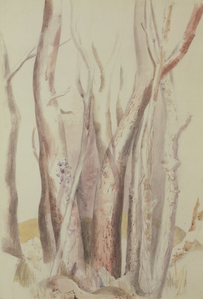 Studie einer bewaldeten Landschaft von Paul Nash