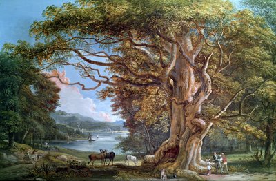 Ein alter Buchenbaum, 1794 von Paul Sandby