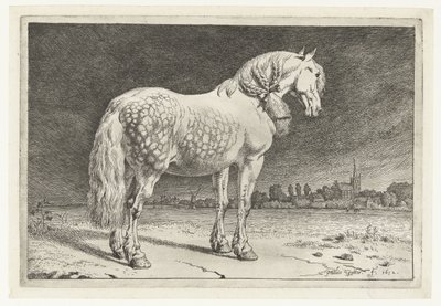 Das Friesenpferd von Paulus Potter
