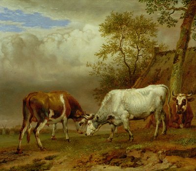 Zwei Bullen mit verschränkten Hörnern, 1653 von Paulus Potter