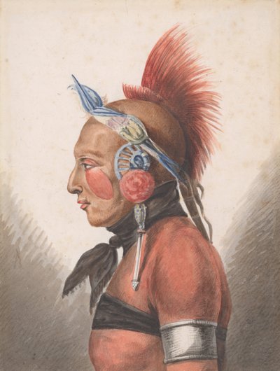 Ein Osage-Krieger von Pavel Petrovic Svin