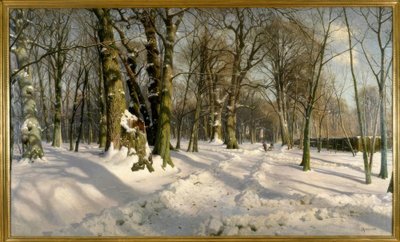 Verschneiter Winterwald im Sonnenlicht von Peder Monsted