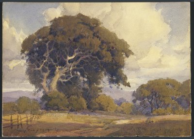 Verwitterte Eiche von Percy Gray