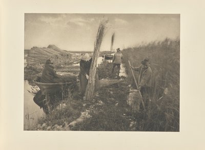 Während der Schilfernte von Peter Henry Emerson
