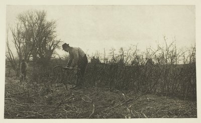 Fechten in Suffolk von Peter Henry Emerson