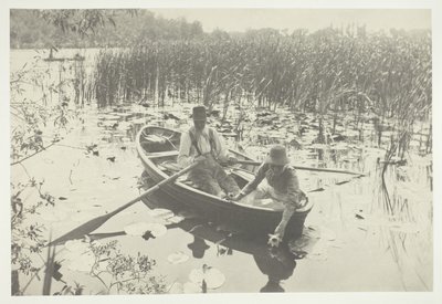 Wasserlilien sammeln von Peter Henry Emerson