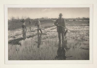 Männer jagen in einem Sumpf von Peter Henry Emerson