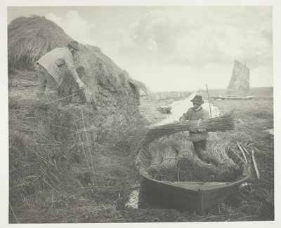 Das Schilfrohr aufschichten von Peter Henry Emerson