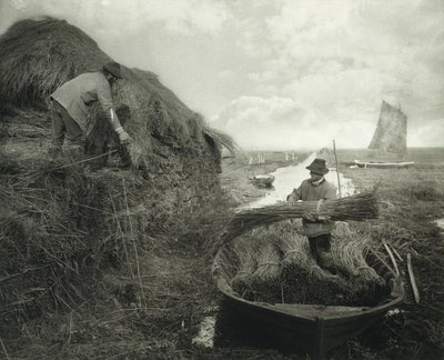 Ricking the Reed, ca. 1885 (Platinabzug) von Peter Henry Emerson