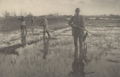 Schnepfenjagd von Peter Henry Emerson and T.F. Goodall